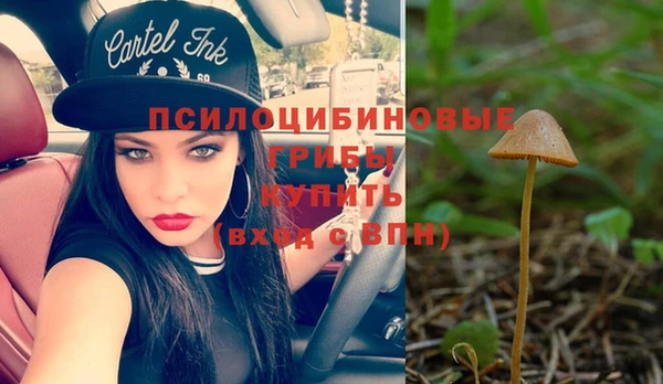 винт Покров