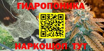 тгк Аргун