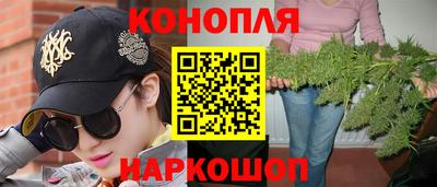 тгк Аргун