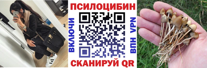 Псилоцибиновые грибы мицелий  даркнет сайт  блэк спрут ТОР  Ачинск 